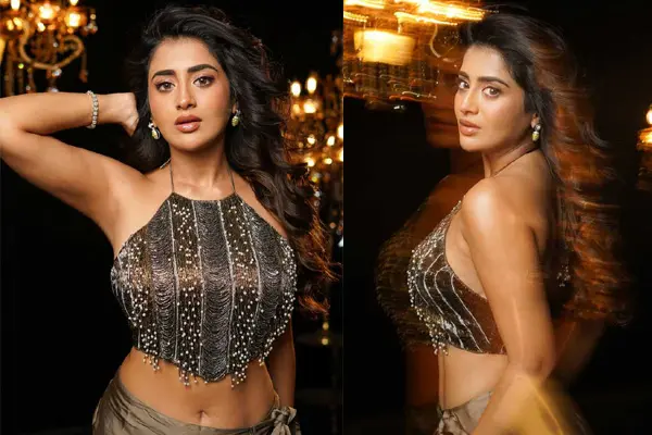 ఫోటోలు : గ్లామరస్ రాశి సింగ్