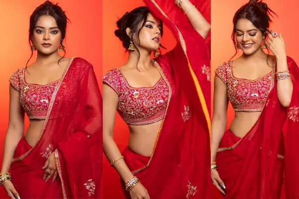 ఫోటోలు : రిద్ధి కుమార్