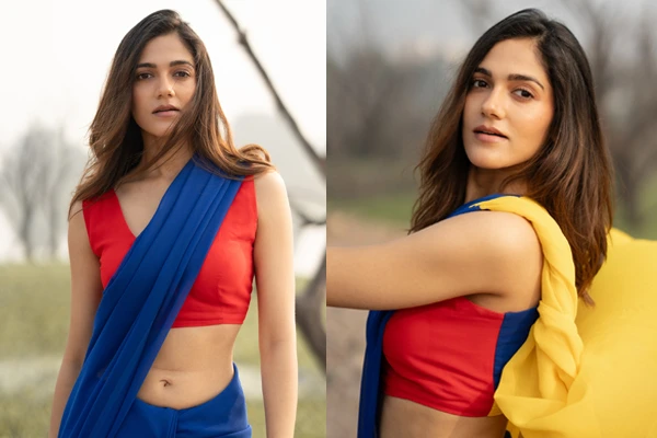 ఫోటోలు : సిమ్రాన్ చౌదరి