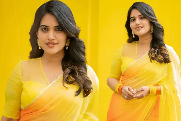 ఫోటోలు : యాంకర్ స్రవంతి చొక్కరపు