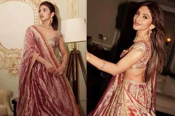 ఫోటోలు : అమేజింగ్ శ్రీలీల