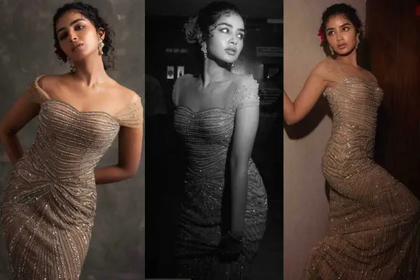 ఫోటోలు : అనుపమ పరమేశ్వరన్