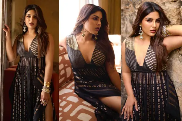 ఫోటోలు : సంయుక్త