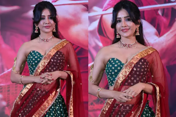 ఫోటోలు : నభా నటేష్