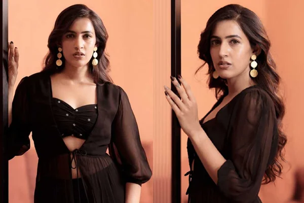 ఫోటోలు : నిహారిక