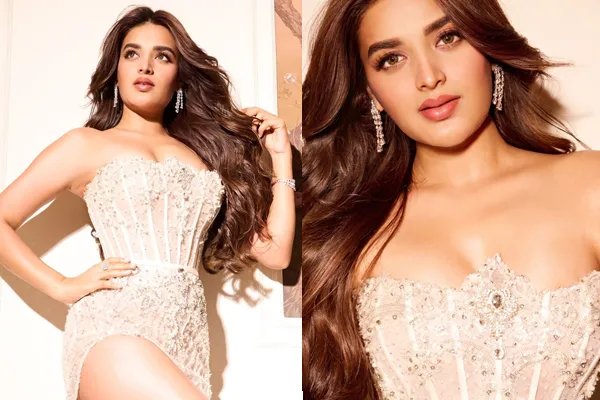 గ్లామరస్ ఫోటోలు : నిధి అగర్వాల్