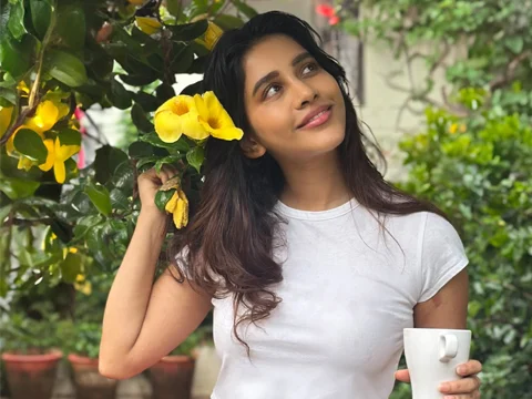 ఫోటోలు : నభా నటేష్