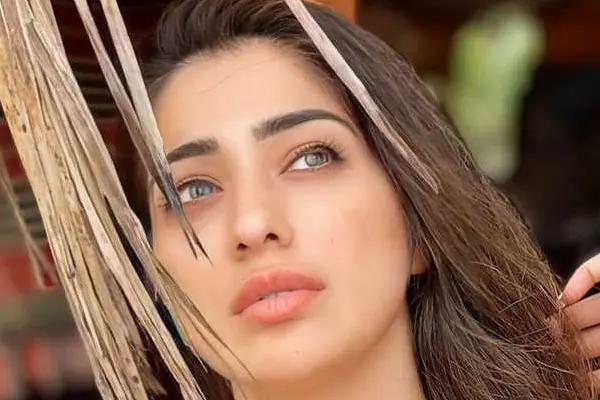 ఫోటోలు : రాయ్ లక్ష్మి