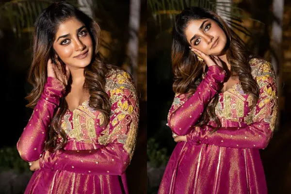 ఫోటోలు : డింపుల్ హయాతి