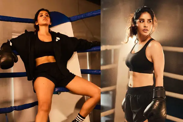 ఫోటోలు:  నభా నటేష్