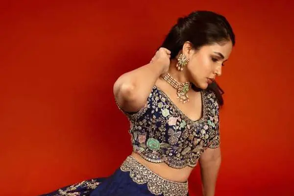 కొత్త ఫోటోలు : లావణ్య కొణిదెల త్రిపాఠి