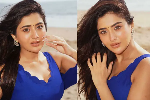 ఫోటోలు : రాశి సింగ్