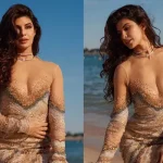 Jacqueline-Fernandez