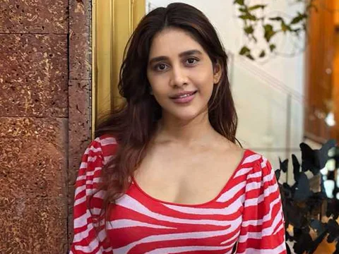 ఫోటోలు : నభా నటేష్