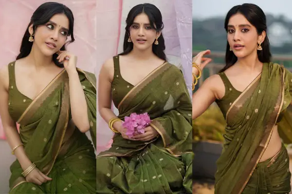 ఫోటోలు : నభా నటేష్