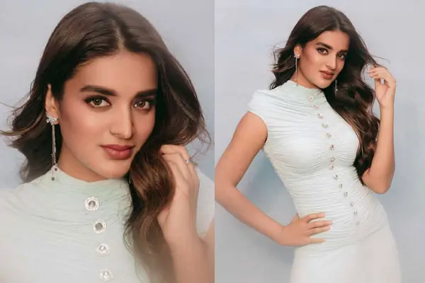 ఫోటోలు: అమేజింగ్ నిధి అగర్వాల్
