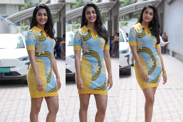 ఫోటోలు : పూజా హెగ్డే