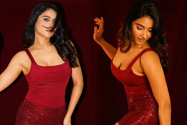 ఫోటోలు : ప్రిషా సింగ్