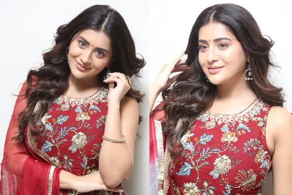 ఫోటోలు : రాశి సింగ్