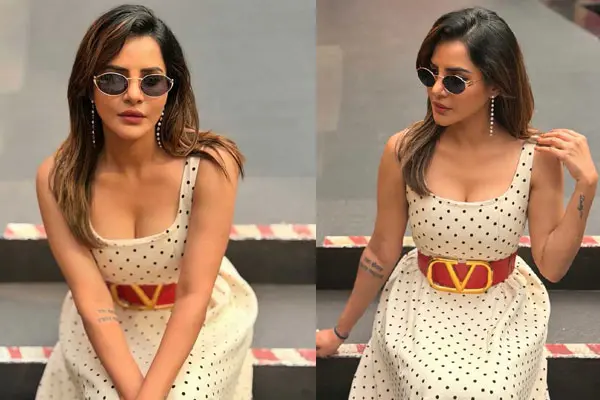 ఫోటోలు:  ఆషు రెడ్డి