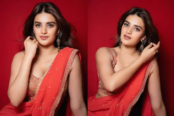 గ్లామరస్ పిక్స్ : నిధి అగర్వాల్