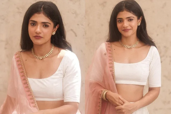 ఫోటోలు : అహల్య బామ్రూ