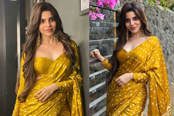 ఫోటోలు : దివ్యభారతి