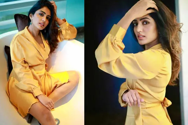 గ్లామరస్ పిక్స్ : ఈషా రెబ్బ