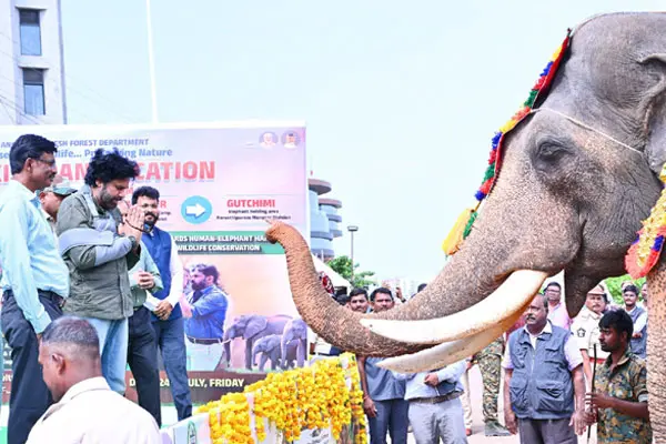 ఫోటోలు: పార్వతీపురానికి తరలించే కుంకీ ఏనుగులకు ఆహారం తినిపించి, వాటి ప్రయాణాన్ని పవన్ కళ్యాణ్ ప్రారంభించారు.