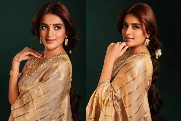 ఫోటోలు : నిధి అగర్వాల్