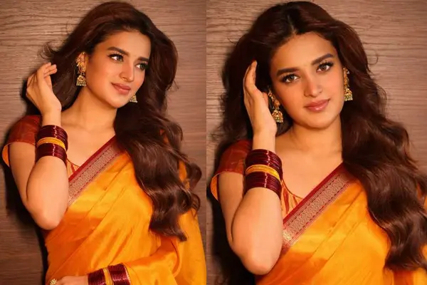 ఫోటోలు : నిధి అగర్వాల్